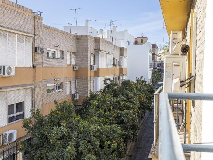 Pureza Dreams De Sevilla Oasis En Triana Exterior foto